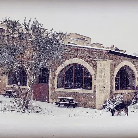 Agriturismo Petra Lucana-3